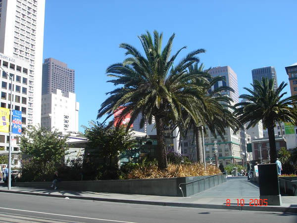 DSC00873