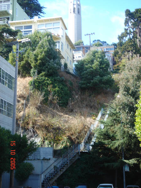 DSC01152